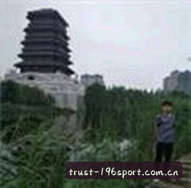 张先生